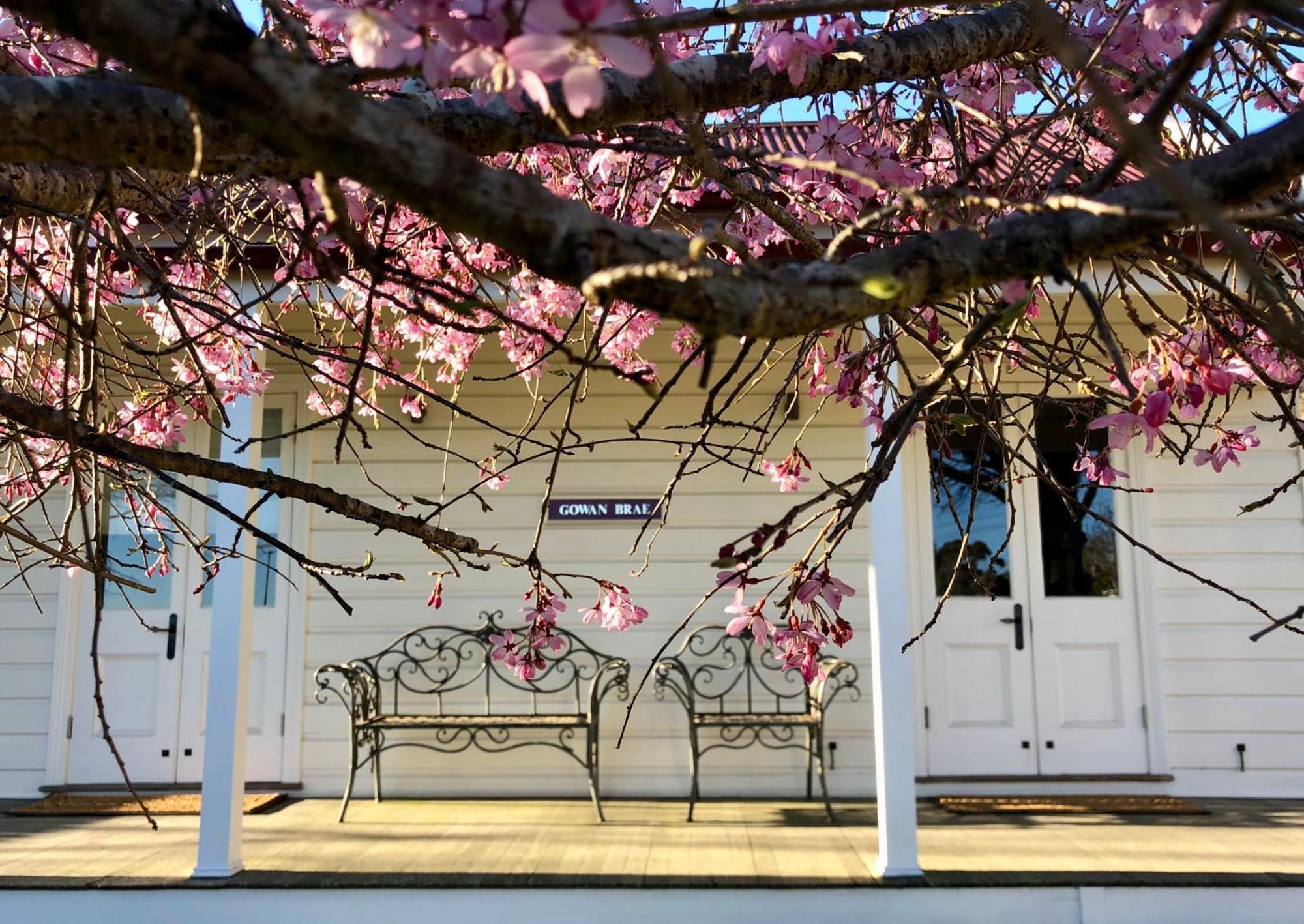 Gowan Brae Cottage คาทุมบา ภายนอก รูปภาพ